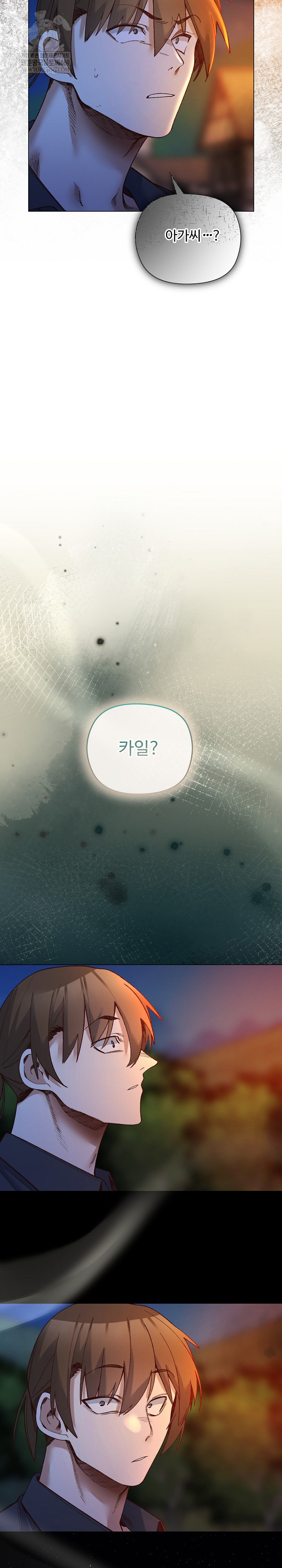 I Will Protect the Lady Raw - Chapter 51 Page 7