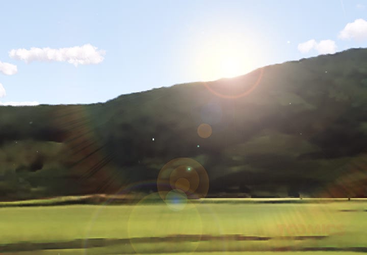 Stupidemic (Uncensored) - Chapter 13 Page 3