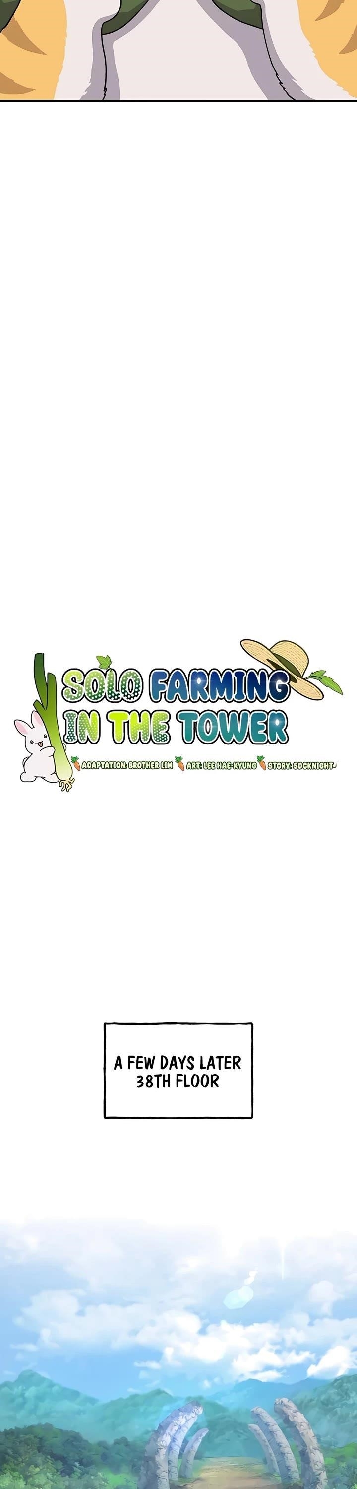 Solo Farming In The Tower - Chapter 17 Page 12