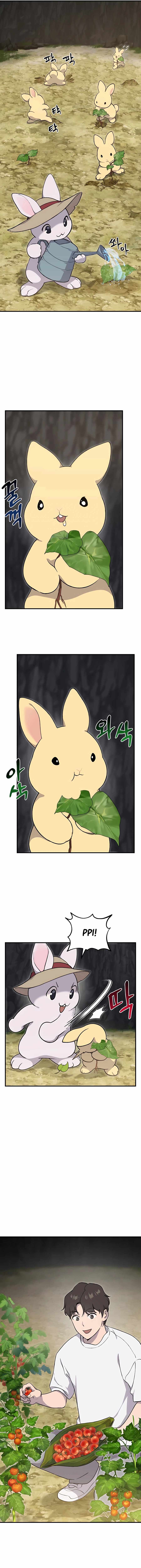 Solo Farming In The Tower - Chapter 8 Page 5