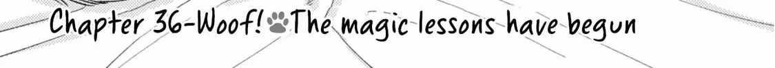 When I moved to another world, my dog became the strongest ~ When Silver Fenrir and I started living in another world ~ - Chapter 36 Page 2