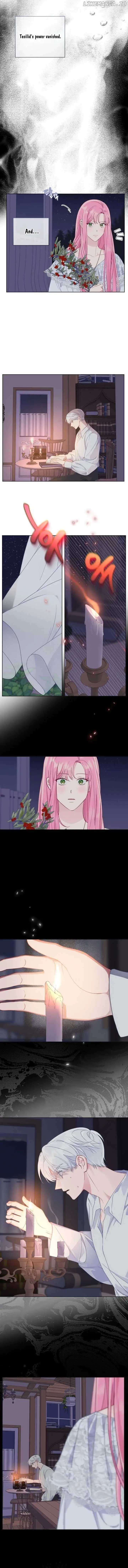 A Transmigrator's Privilege - Chapter 74 Page 3